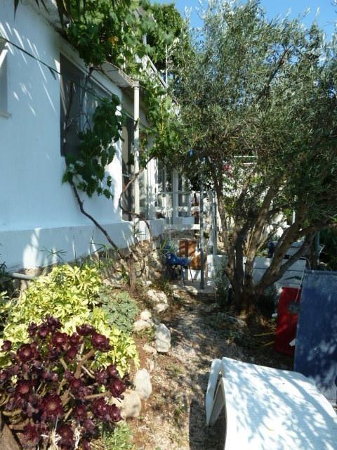 Ljilja Blato (Korcula)