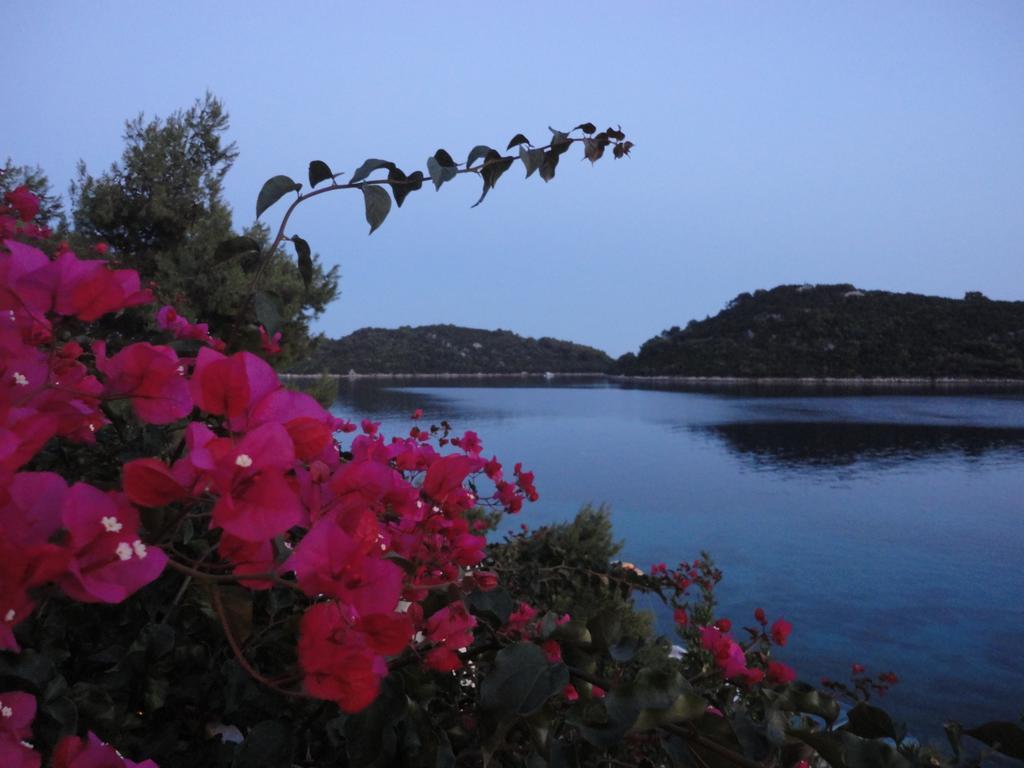 Apartmán Ljilja Blato (Korcula)